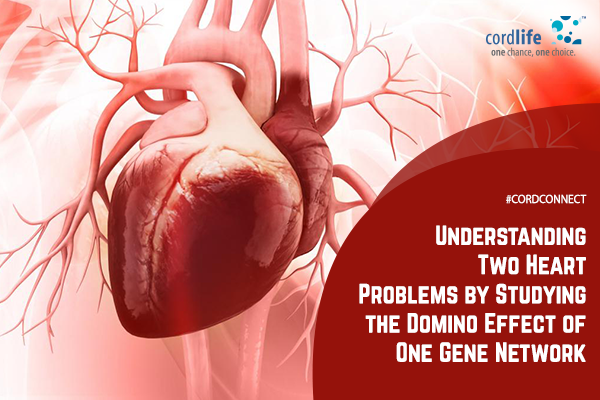 Understanding Two Heart Problems By Studying Domino Effect