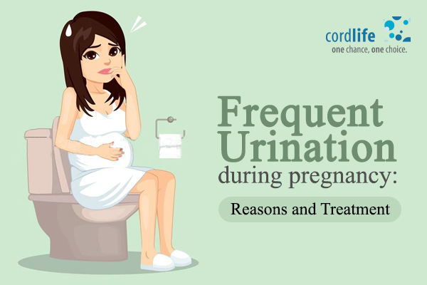 Incontinence and Frequent Urination during Pregnancy. Pregnant