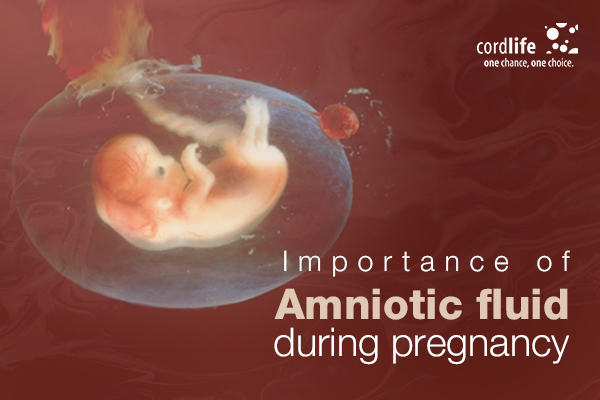 Amniotic Fluid During Pregnancy How To Increase It 