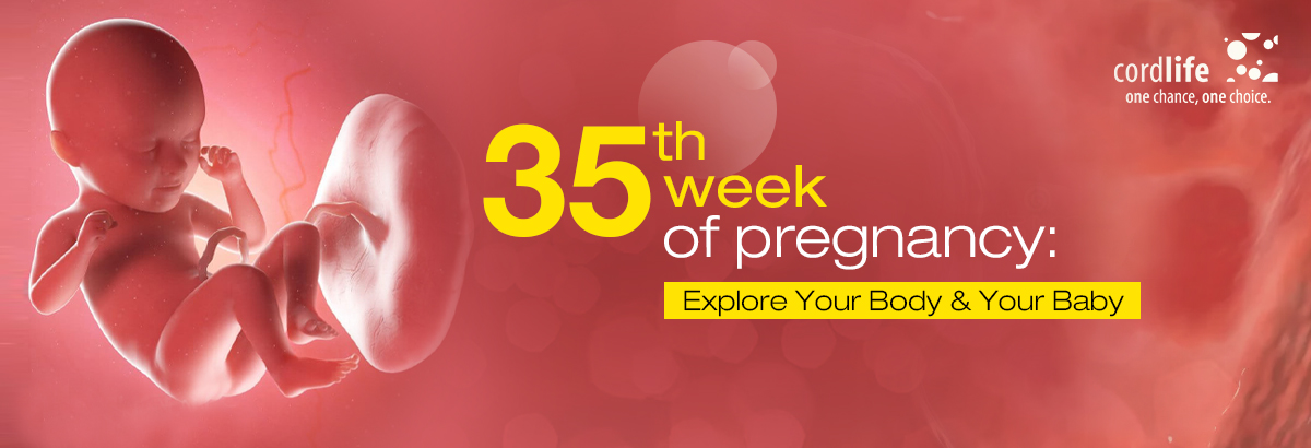 international travel in 35th week of pregnancy