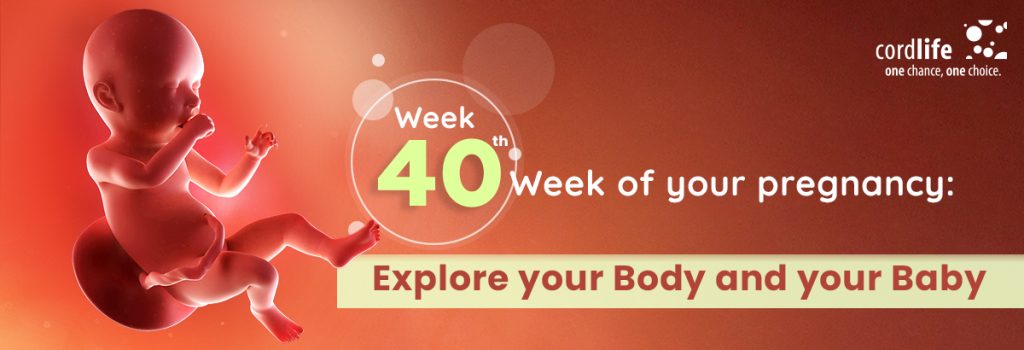 40th Week pregnancy