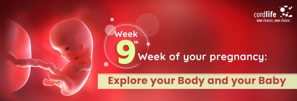 9th-week-of-pregnancy-what-s-happening-to-your-body-and-baby