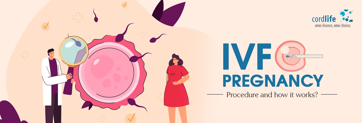 IVF pregnancy