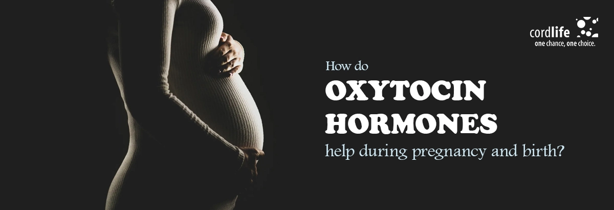 oxytocin hormone in pregnancy