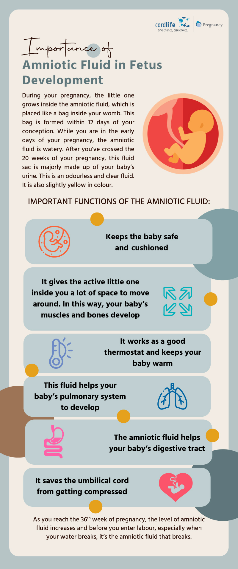  Importance Of Amniotic Fluid In Foetal Development Infographics