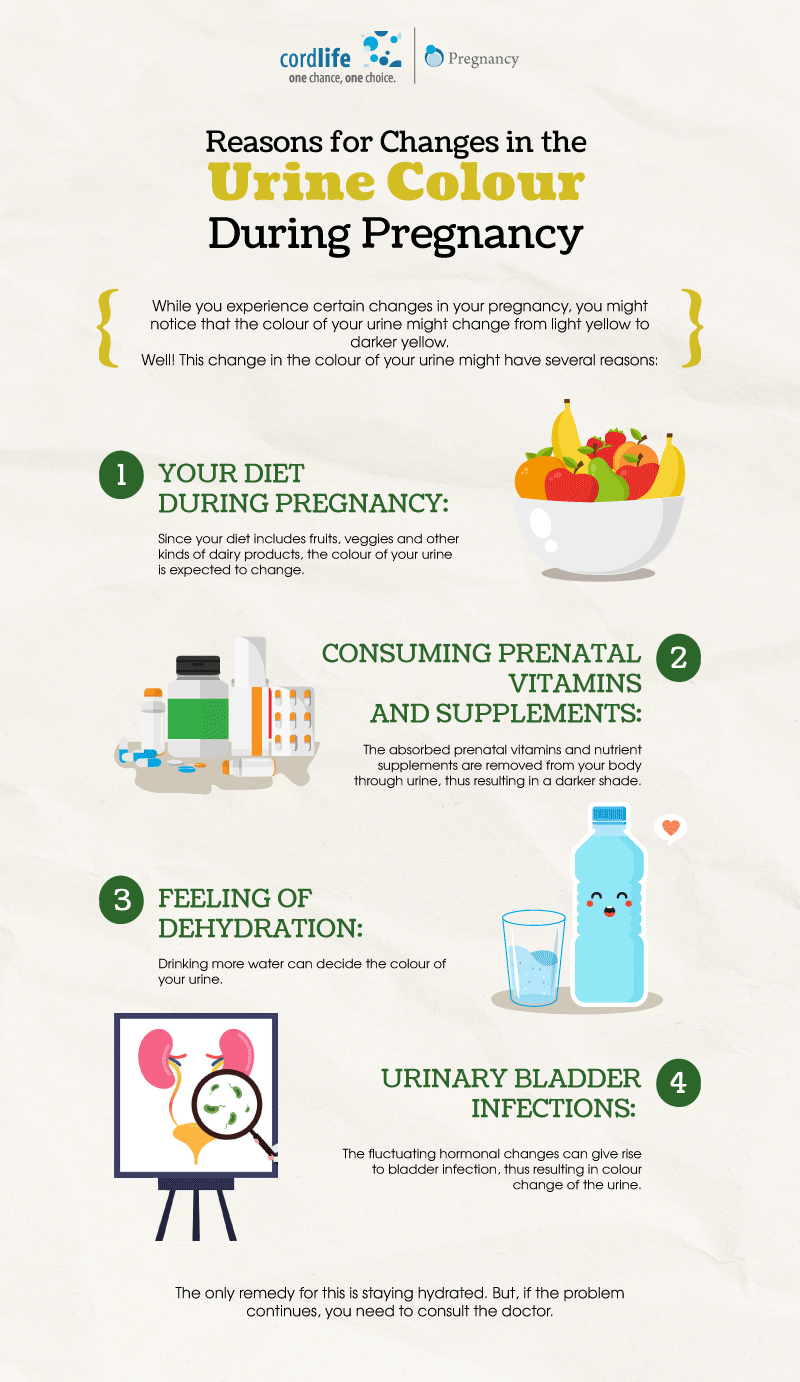 https://www.cordlifeindia.com/images/infographics/Reasons-for-Changes-in-the-Urine-Colour-During-Pregnancy.gif